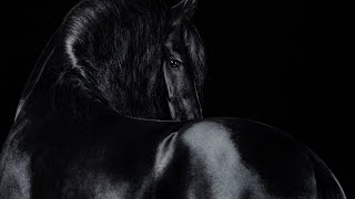 Desire || Dark Equestrian Music Video