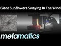 Metamatics ✧ Giant Sunflowers Swaying In The Wind ✧ Vinyl 💿