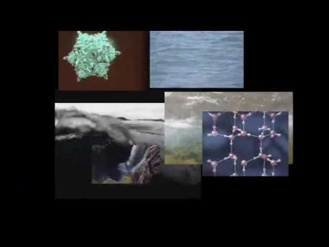 Egoshoo7er || Irreparabel315 - Sternzeichen Wassermann (Prod. Rice Master Yen)