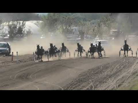 Trka "New Holland" 07.10.2018 Golden-Zoran Zivojinović /Mosaique Mar-Dejan Simić