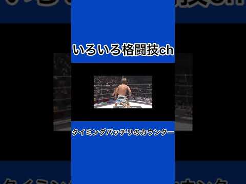 朝倉未来の強烈なカウンター#shorts #朝倉未来 #朝倉海 #格闘技 #ko