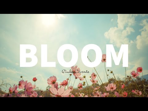 Bloom - Giulio Cercato