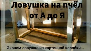Ловля роев от а до я
