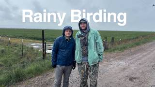 Wet Weather Birding In Northern Utah With Bright-Eyed Birding