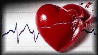 me declaro culpable tigres del norte