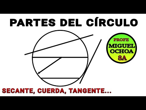 Partes del CÍRCULO.😎 Círculo, Circunferencia. Explicación Fácil