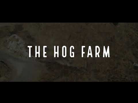 The Hog Farm Documentary
