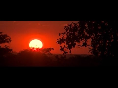 May 30 WildEarth Sunset SafariLIVE