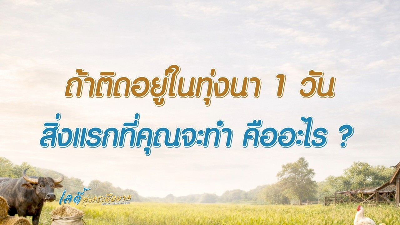 ถ้าติดอยู่ในทุ่งนา 1 วัน สิ่งแรกที่คุณจะทำ คืออะไร