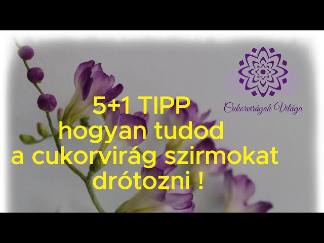 Hogyan tudod a cukorvirág szirmokat drótozni? Cukorvirágok Világa