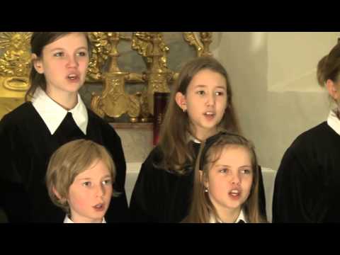 Gotteslobvideo (GL 390): Magnificat, magnificat