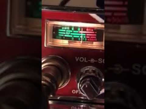 Dirty bird, audio kid and 28 videogate