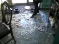 Dog Destruction The Pillow