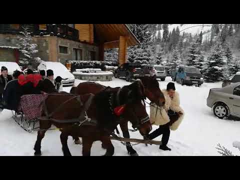 "Izvoarele Borcutului"