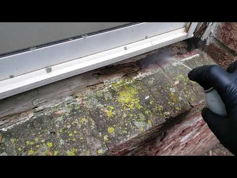 Flushing Out Ants in Howell, NJ