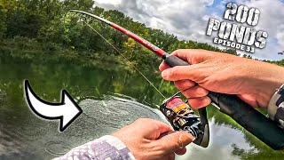 I Hooked A Pond GIANT! (Hidden In The Woods) - 200 Ponds Ep. 33