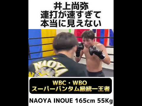 【高速連打】井上尚弥【WBC・WBOスーパーバンタム級統一王者】