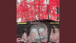 Crazy Love (Radio Edit)