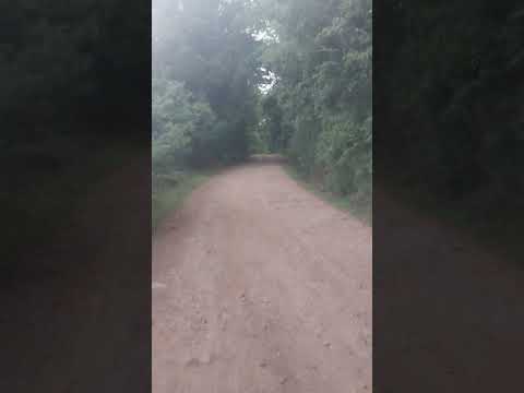 Barão de Cotegipe  Rio Grande do Sul