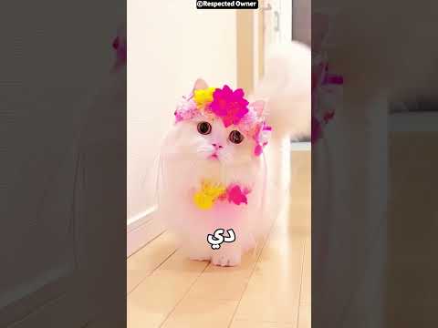 المكياج اتشال… والنتيجة فاجأت الكل! 😳