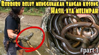 Download lagu BERBURU BELUT DENGAN TANGAN DEWA HANYA DALAM HITUNGAN DETIK mp3