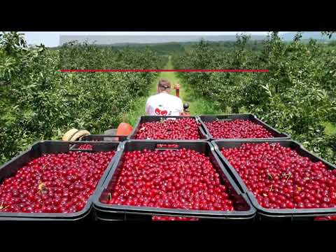 Desing Corporate video