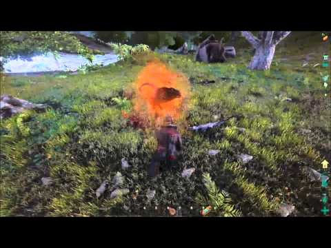 Alpha Raptor Fight | ARK: Survival Evolved