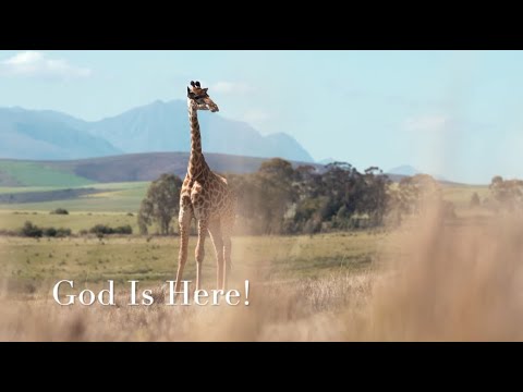 061 SDA Hymn - God is Here! (Singing w/ Lyrics)