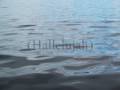 Damien Rice - Cold Water (with lyrics) 