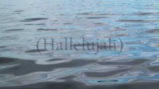 Damien Rice - Cold Water (with lyrics)