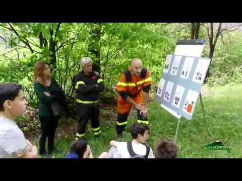 - Festa Del Bosco 2016 - Grosotto  -