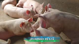 Miniatura do vídeo