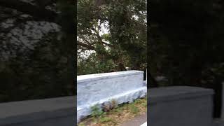 preview picture of video 'Palani to Kodaikanal ghat road(3)'