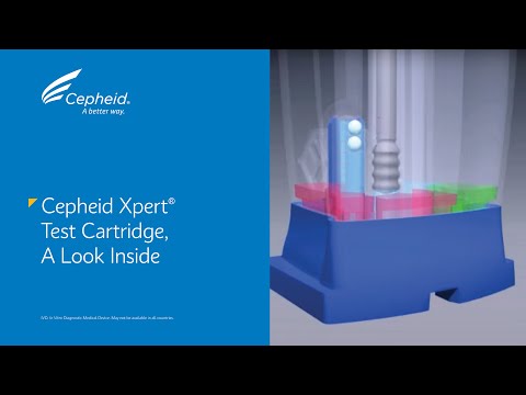 Cepheid Xpert® Test Cartridge, A Look Inside