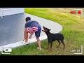 Caught in 4K! Funniest Security Camera Fails DEFAULT Thumbnail