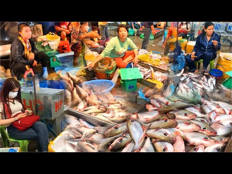 Incrível grande mercado de peixe em Phnom Penh. Mercado úmido, peixe fresco, frutos do mar, água doce e muito mais