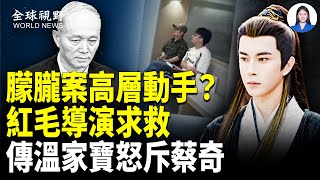 朦朧案戳中滅共按鈕 蔡奇陷局中局？ 于成犧牲品 紅毛導演承認犯案？傳溫家寶怒斥：要被歷史清算！【全球視野】