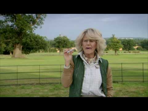 Tracey Ullman's Show (First Look Promo)