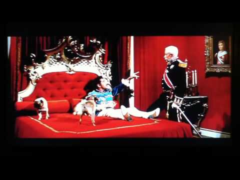 The Great Race Pugs 2