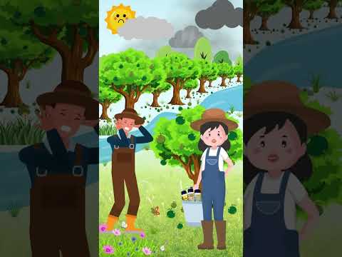 Cùng khám phá bộ ba "Siêu boron" chống rụng hoa, rụng trái của nhà One More