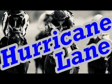 カテゴリー3のハリケーン