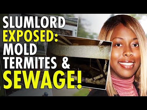 Tiffany Henyard's Dark History As A Slumlord Exposed: Mold, Termites