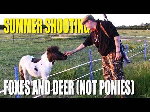 Summer Shooting: foxes, deer (not ponies) Summer Shooting: foxes, deer (not ponies)