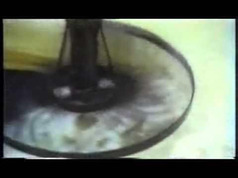 VESELIN VESA PAULJESKOVIC - FA LUNJICA.