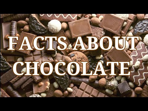 10 facts about chocolate |  Hashir and Hamza Vlogs |