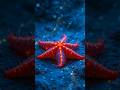 Incredible Cute Sea Creatures Transformation Fish Video Fishing Seacreatures