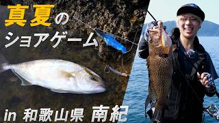 【ショアジギング】金井光輝に密着。和歌山県南紀 夏のショアゲーム