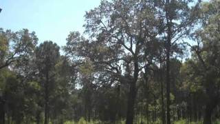 preview picture of video 'Lighthouse Cove, Calabash, North Carolina 28467'