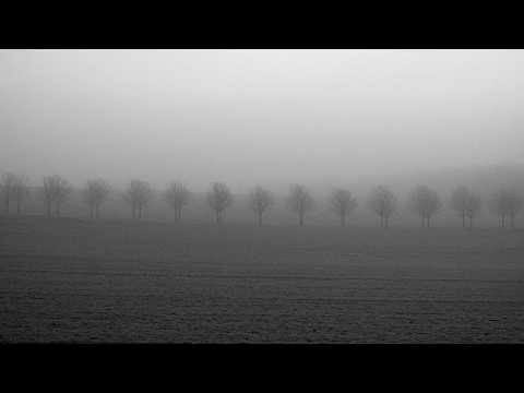 Edenas - Ką daryti?