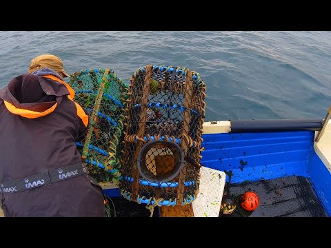 Life of a Fisherman - This Did Not Go as Planned
